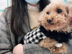 -谐和贝康宠物医院24小时·宠保定点(急重症转诊中心)