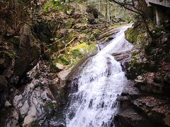 -藏龙百瀑风景区