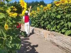 -长春公园(普阳街道)