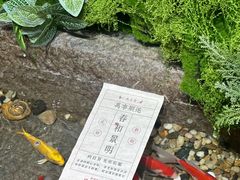 -瑞虹新天地月亮湾
