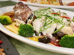 清蒸龙胆鱼-华兴大酒楼(亿宝大厦店)