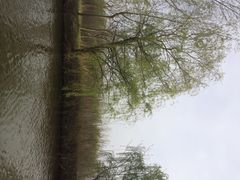 iphone_upload_pic-溱湖国家湿地公园