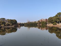 -艾溪湖湿地公园