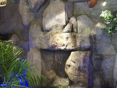 -香山湖家家宴(中山陵店)