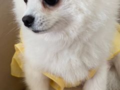 -怪兽屋·羊驼·猫咖·狗咖(俊华广场店)