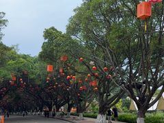 -南沙天后宫景区