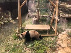 -杭州动物园