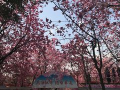 -昆明动物园
