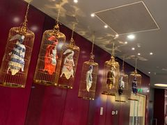-悦江(梅奔中心店)