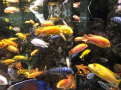 -太平洋海底世界