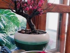 -兰纳泰式spa(古城店)