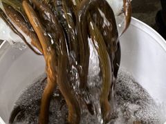 -铜元老码头鳝鱼火锅