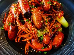 -肥肥虾庄·金牌油焖大虾(沙湖店)