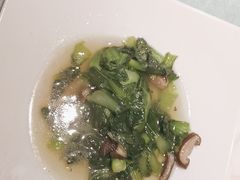 -西塘人家•黑金冠本地好店