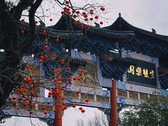 -祥源·阜阳生态乐园