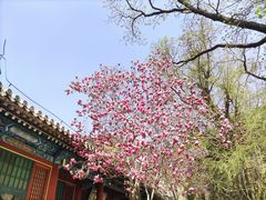 -潭柘寺景区