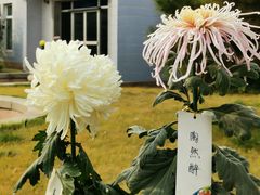 -国家植物园