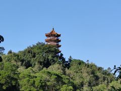 -深圳仙湖植物园