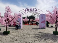 -苏州太湖国家湿地公园