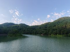 -广州白江湖森林公园