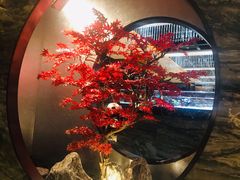 -红辣椒·川菜·火锅(大洋中心店)