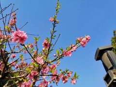 -乌山风景区