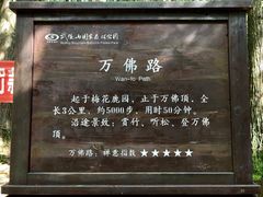 -武陵山森林公园