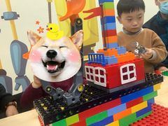 -克乐思少儿机器人•编程•竞赛科技馆(融创店)