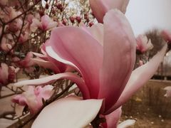 -首都师范大学(良乡校区)