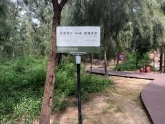 -大京沙滩