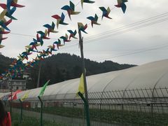 -普迪生态园