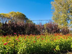 -永定河休闲森林公园