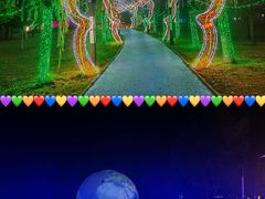 -青龙湖公园