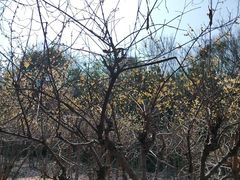 -白马涧龙池景区
