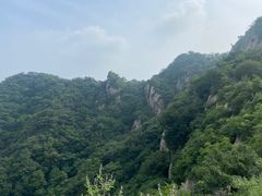 -大岭沟猕猴桃谷风景区