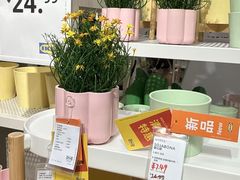 -宜家家居(宝山商场店)