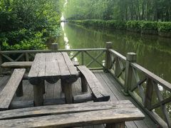 -合肥滨湖国家森林公园