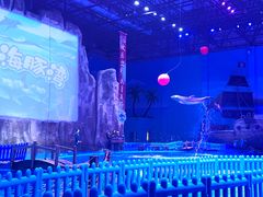 -华夏文旅海洋公园