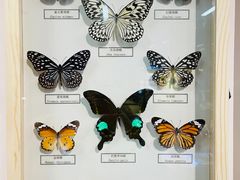 -浙江自然博物院(杭州馆)