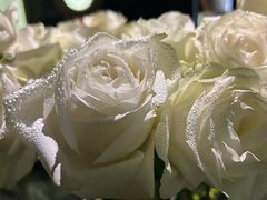 -Love Story爱情故事·养生SPA会所(新侨店)