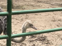 -青藏高原野生动物园