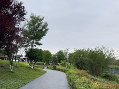 -两河城市森林公园