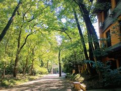 -灵谷景区