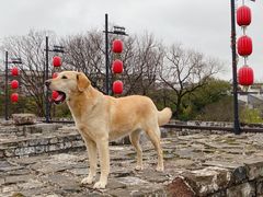 -东水关遗址公园