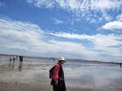 -刘家湾赶海园
