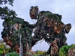 -奥兰多迪士尼动物王国乐园