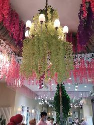 -卡尔诗·科技美肤连锁
