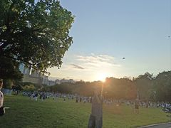 -莲花山公园
