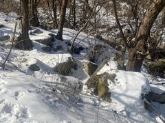 -西安祥峪森林公园