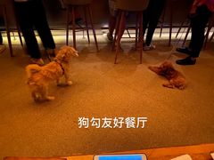 -JUJU韩式烤肉·干杯小酒馆